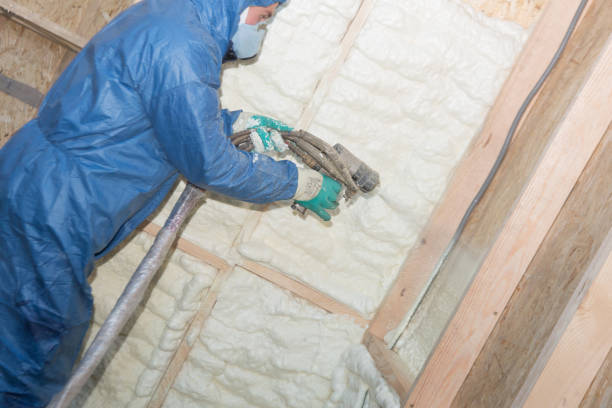 Types of Insulation We Offer in Crystal Lawns, IL